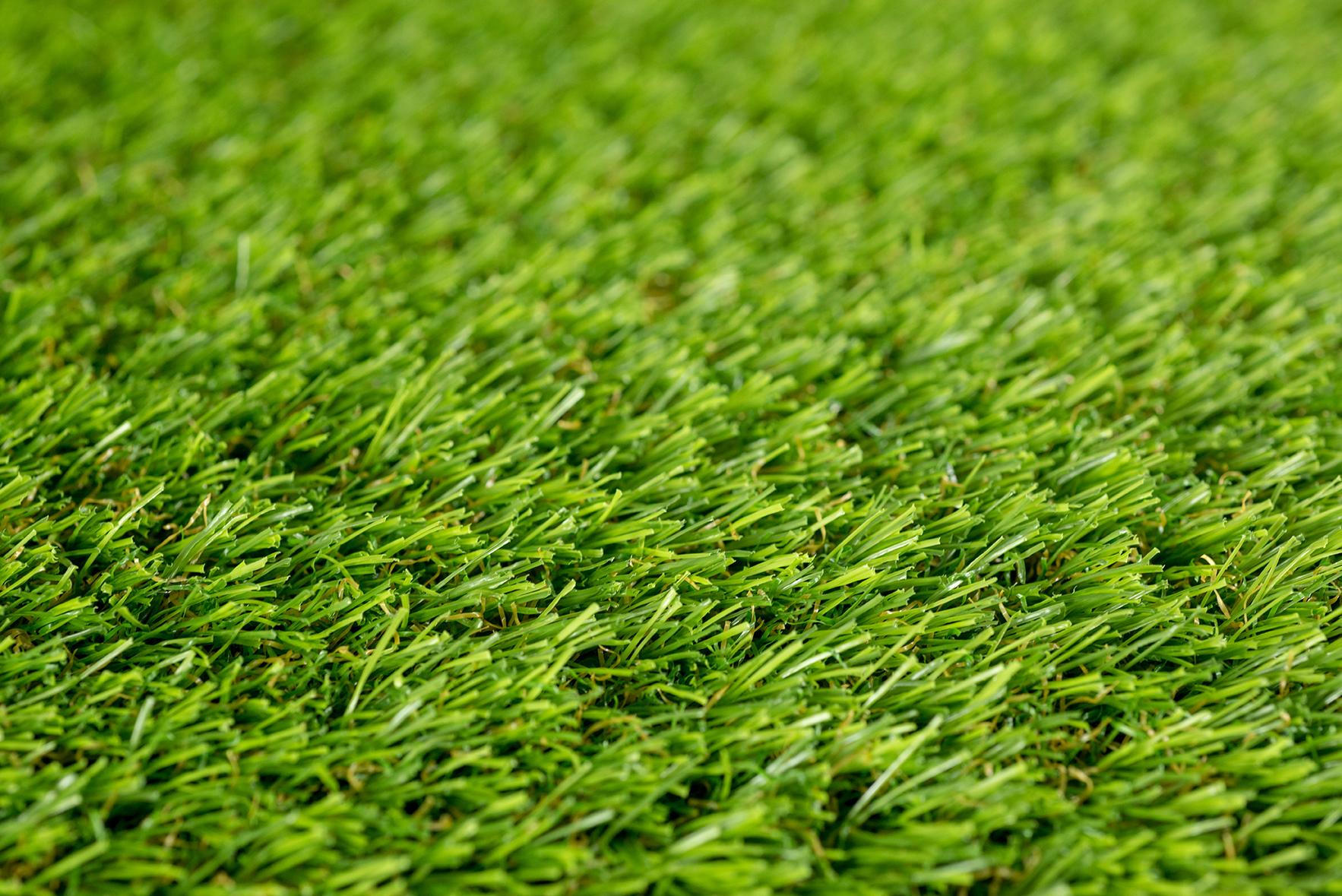 Artificial Turf and Green Wall